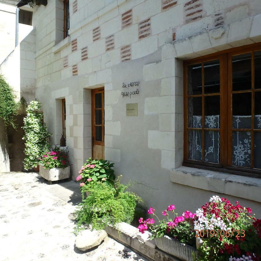 Hébergement de vacances La Pierre Qui Parle Luynes (Indre-et-Loire)
